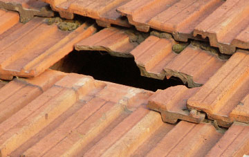 roof repair Newlands Of Geise, Highland
