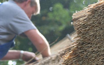 professional Newlands Of Geise thatchers